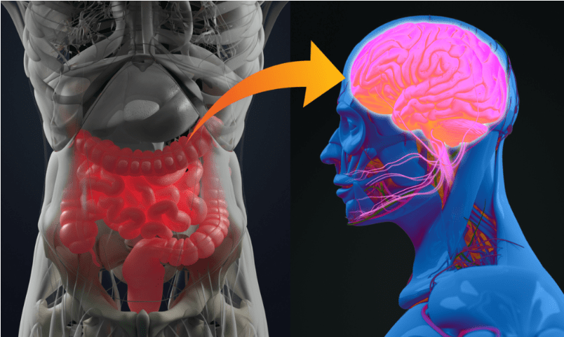 When Your Gut is Stuck, So Is Your Mind: The Constipation-Anxiety Loop